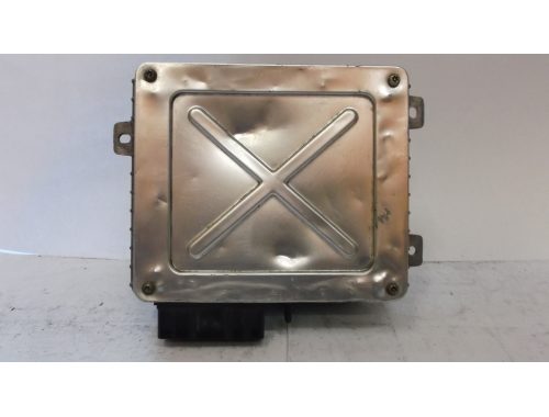 Centralina Motore Rover 400