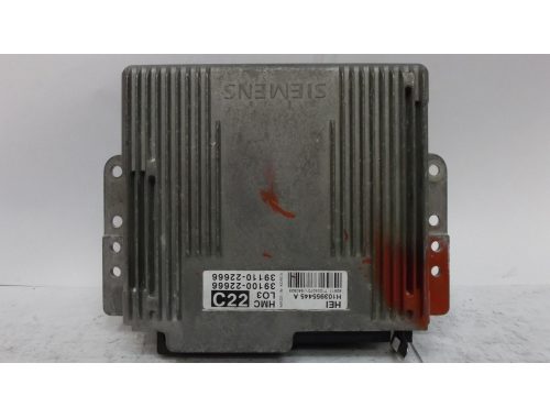 Centralina Motore Hyundai Accent