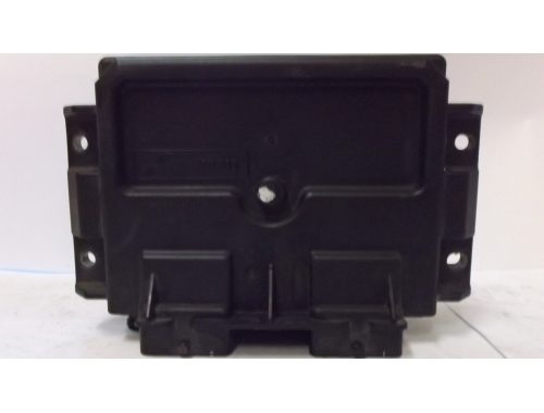 Centralina Motore Citroen Berlingò