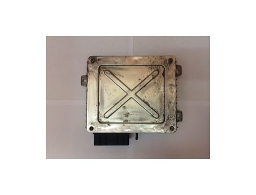 Centralina Motore Rover 400