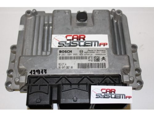 /Riparazioni Varie + Passaggio Codici - Centralina Motore Peugeot 207/307 9664738780