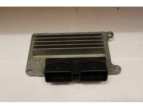 Centralina Motore Renault Twingo