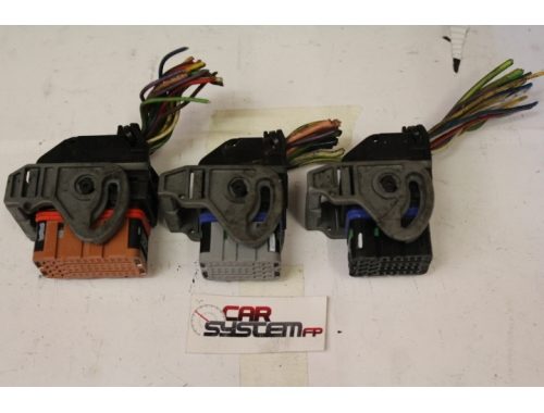 Cablaggi Centralina Motore Peugeot 307