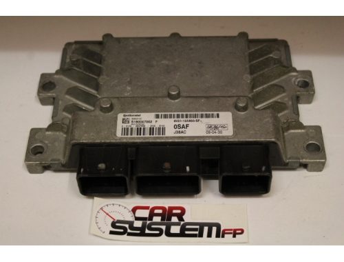Centralina Motore Ford Fiesta CONTINENTAL S180047002 - Passaggio Codici + Riparazioni Varie
