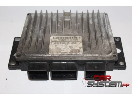 Centralina Motore Citroen