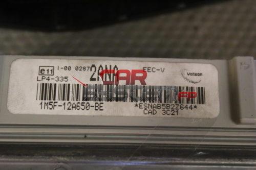 Centralina Motore Ford Focus 1.6 VISTEON 1M5F-12A650-BE