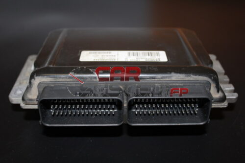 8200060344 S110030206 SIEMENS Centralina Motore RENAULT CLIO 2.0 16V