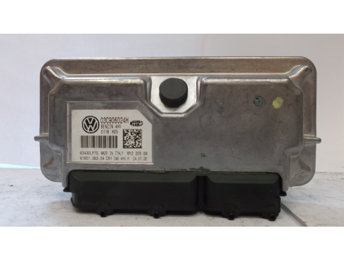 Centralina Motore Seat Ibiza MAGNETI MARELLI:03C906024H