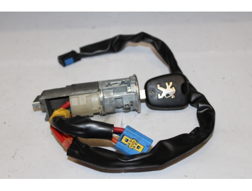 Neiman Peugeot 206 N0501539