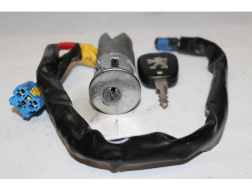 Blocchetto Accensione Peugeot 206 N0501539