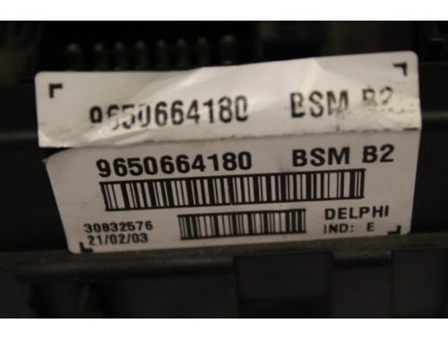 BSM Peugeot 206 DELPHI: 9650664180