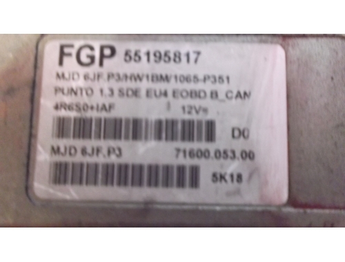 Centralina Motore Fiat Punto FGP:55195817