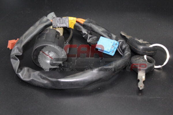 Blocchetto Accensione Peugeot 206 1,6 HDI 9641551180